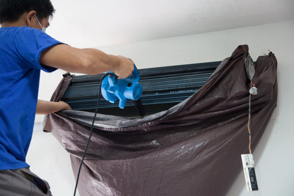 Duct Cleaning and Pest Control